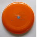 Plastic Frisbee